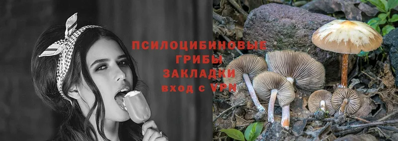 Галлюциногенные грибы Magic Shrooms  цена наркотик  Покачи 